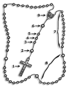 Learn How To Pray the Divine Mercy Chaplet